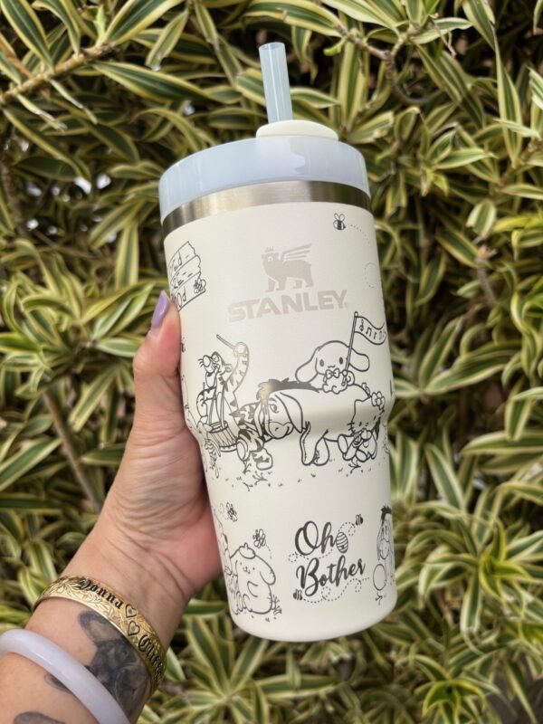 San x WTP 20 oz. Stanley H20
