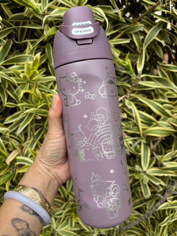 Sanrio Friends 24 oz Owala