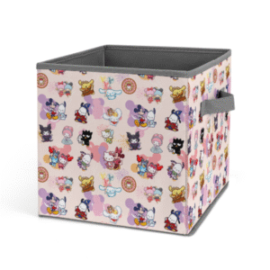 San x Dis Storage Cube